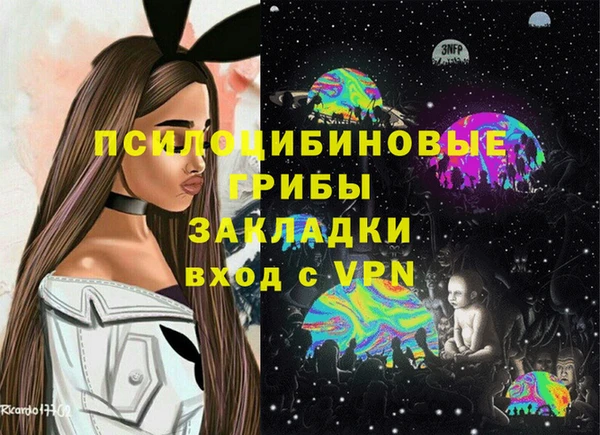 стафф Алзамай