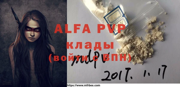 стафф Алзамай