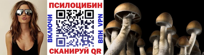 мега ССЫЛКА Зубцов мориарти телеграм дарнет шоп Галлюциногенные грибы ЛСД